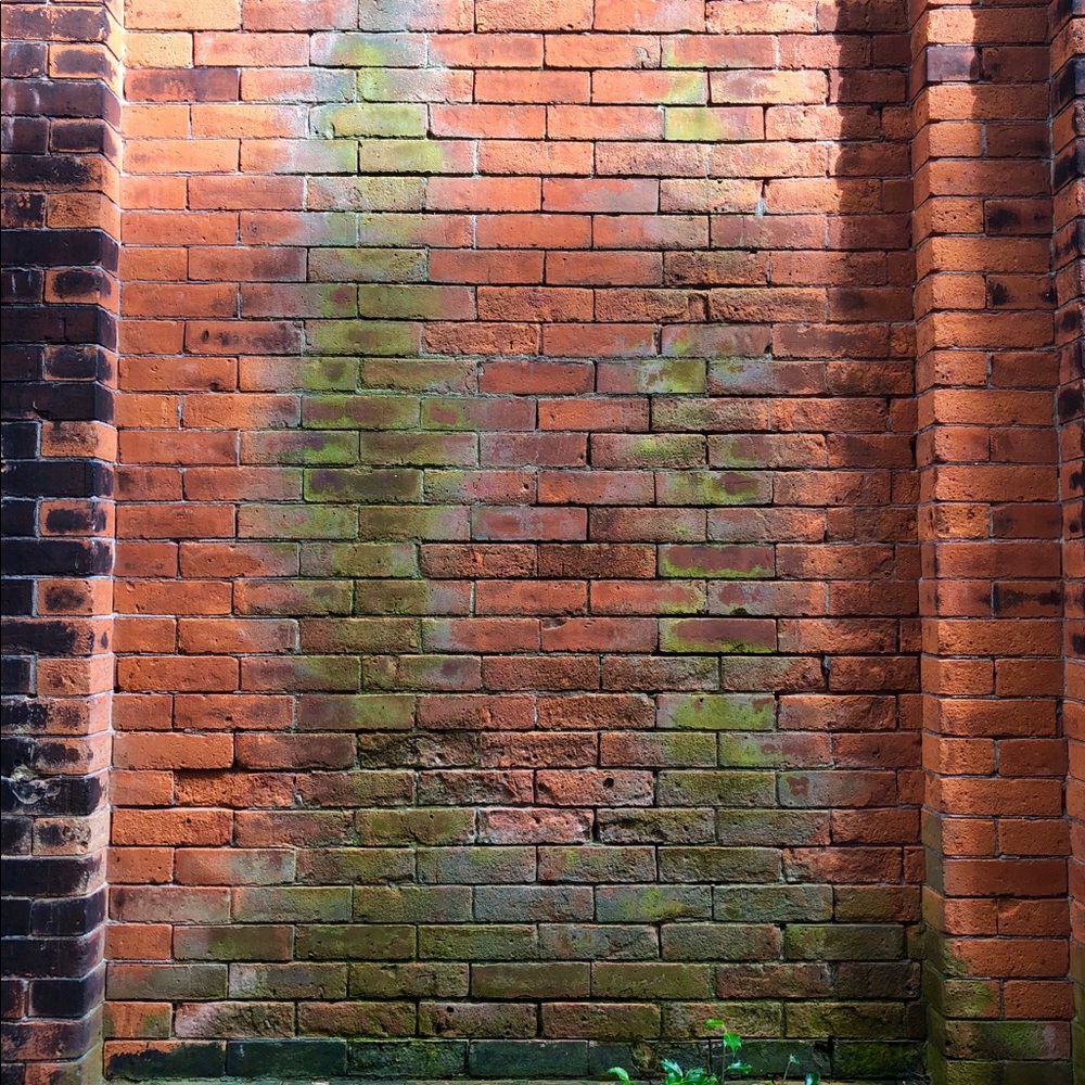 Meet your Posher, Corinne